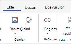 Şeritteki bağlantı alanı
