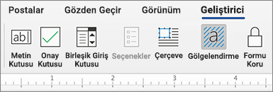 İçerik denetimleri içeren geliştirici sekmesi