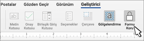 Geliştirici sekmesinde Formu koru düğmesi