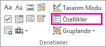 Geliştirici modu denetim özellikleri