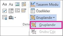 Geliştirici modu grup denetimleri