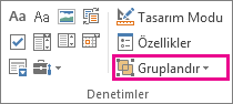 Geliştirici modu grup düğmesi