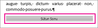 Biçimlendirmeyi Göster açıkken sütun sonunu seçme