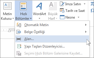 Hızlı Bölümler menüsündeki Alan Ekle seçeneği.