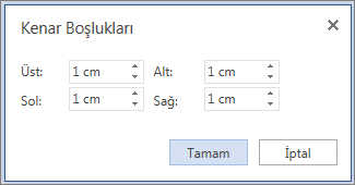 Word Web App Kenar Boşlukları iletişim kutusunun resmi