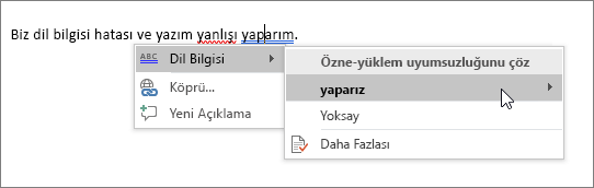 Office 365 Yazım & Dil Bilgisi örneği