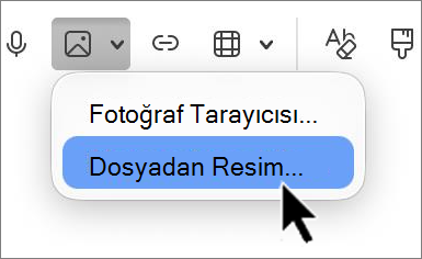 'outlook-mac-insert-picture-screenshot
