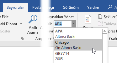 Başvurular sekmesinde Stil listesinden bir alıntı stilini seçin