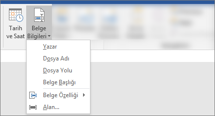Word şeridinde Belge Bilgileri ve Tarih & Saat düğmelerini gösteren ekran görüntüsü