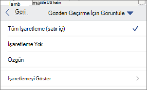 Gözden Geçirme için Görüntüle