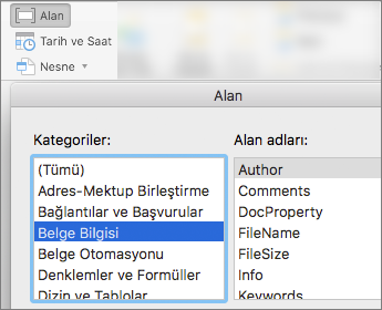 Belge Bilgileri kategorisine göre filtre uygulanan alan kodlarını gösteren ekran görüntüsü