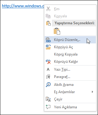 Köprüyü düzenleme