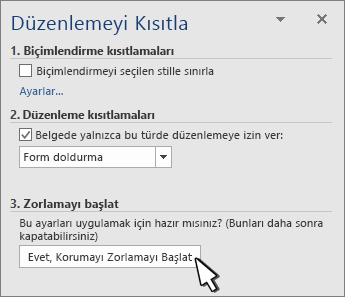 Düzenlemeyi kısıtla bölmesi