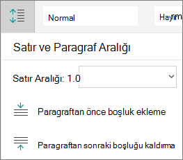 Paragraf aralığı seçenekleri
