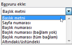 Başvuru ekle seçeneğinde listelenen seçimler