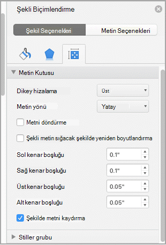 Biçim bölmesinin ekran görüntüsü