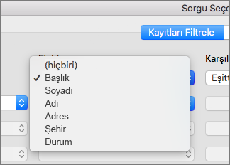 Filtreleme ölçütü olarak kullanmak istediğiniz alana tıklayın