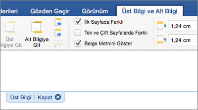 Belgenin üst bilgi alanı gösterilir