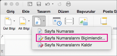 Sayfa numaralarını biçimlendirmek için, Üst Bilgi & Alt Bilgi sekmesinde Sayfa Numarası'na tıklayın ve sonra Sayfa Numaralarını Biçimlendir'e tıklayın.