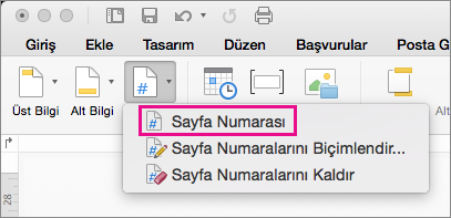 Üst Bilgi & Alt Bilgi sekmesinde, sayfa numarası eklemek için Sayfa Numarası menüsünde Sayfa Numarası'na tıklayın.