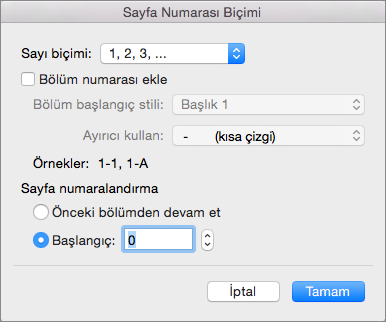 Sayfa Numarası Biçimi’nde numaralandırma stilini ve başlangıç numarasını seçin.