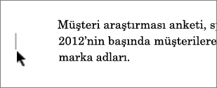 Kenar boşluğunun yanında İşaretleme vurgulanmış