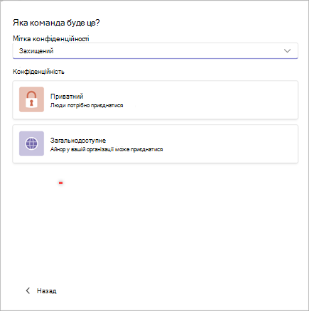 Знімок екрана: вікно для створення нової команди в Microsoft Teams із параметрами захисту та конфіденційності як приватних або загальнодоступних.