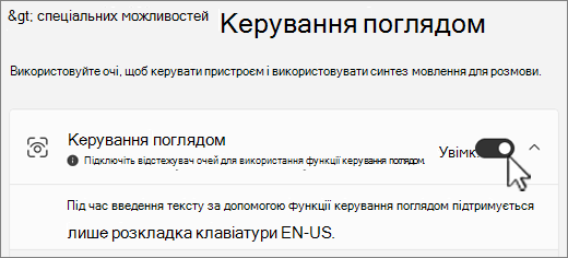 Розділ Керування поглядом у вікні настройок спеціальних можливостей