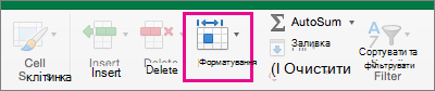 On the Home tab, Format is highlighted