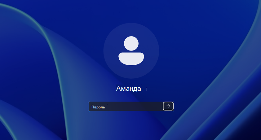 Screenshot of the local Sign-in page. image