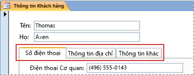 Một biểu mẫu có chứa điều khiển tab