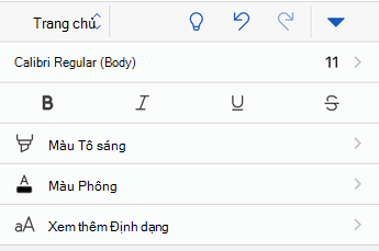 Tùy chọn định dạng phông chữ Word cho iOS.