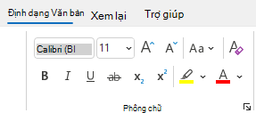 Định dạng nhóm văn bản trong Outlook.