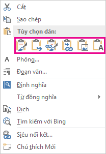 Nhóm nút của năm tùy chọn để dán biểu đồ Excel vào Word