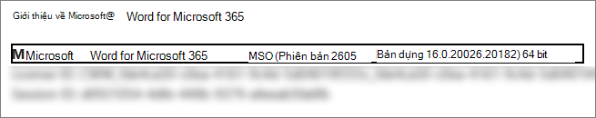 Ảnh chụp màn hình hiển thị phiên Word, bản dựng và phiên bản bit mới.