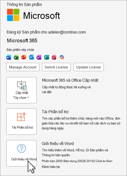 Ảnh chụp màn hình hiển thị dạng xem phiên bản của Office 365.
