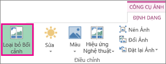 Nút Loại bỏ Nền trong nhóm Điều chỉnh trên thẻ Định dạng Công cụ ảnh