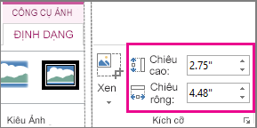 Các hộp Chiều cao và Chiều rộng trên tab Định dạng Công cụ Ảnh