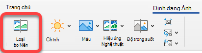 Tùy chọn Loại bỏ Ảnh nằm trên tab Định dạng ảnh trong các ứng dụng Office.