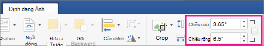 Tab Định dạng Ảnh với các hộp Chiều cao và Chiều rộng được tô sáng.