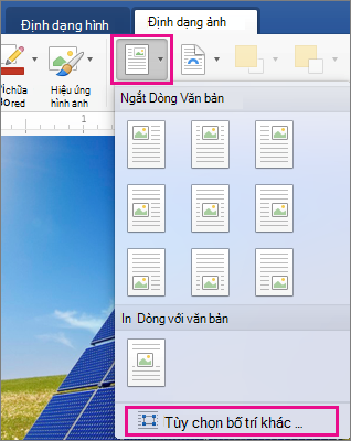 Trên tab Định dạng Ảnh, tùy chọn Vị trí và Xem thêm Bố trí được tô sáng.