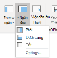 Tùy chọn ngăn đọc