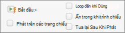 Các tùy chọn âm thanh ở bên phải tab Định dạng âm thanh