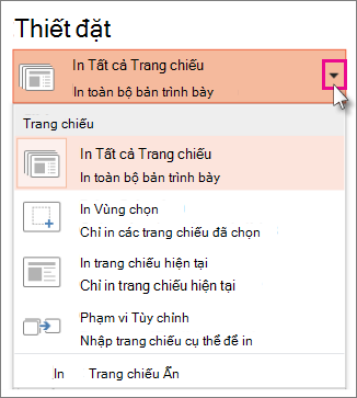 Thiết đặt In