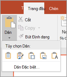 Chọn Dán Đặc biệt