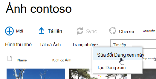 Thanh dạng xem thư viện ảnh với Sửa đổi Dạng xem được chọn