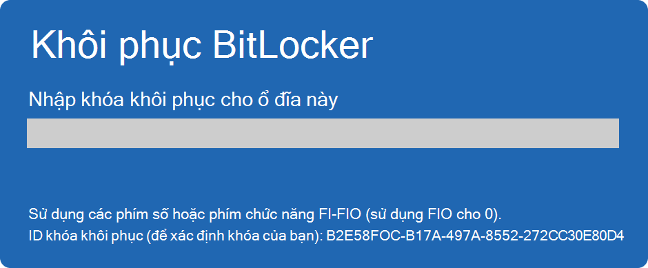 Ảnh chụp màn hình khôi phục BitLocker.