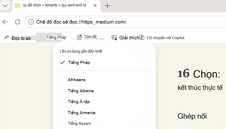 Ảnh chụp màn hình chế độ Đọc Dịch.