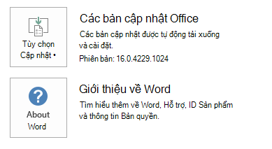 Ảnh chụp màn hình Word bấm để chạy