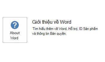 Ảnh chụp màn hình cho Word MSI